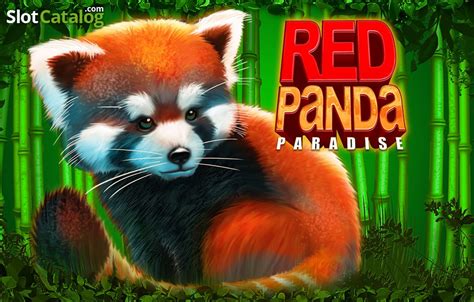 Red Panda Paradise 1xbet