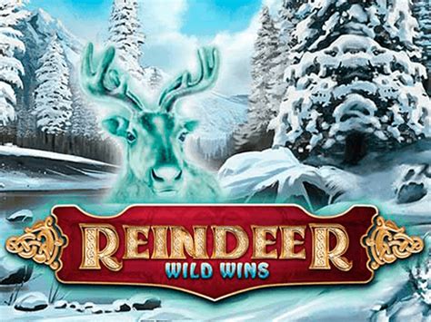 Reindeer Wild Wins Betfair