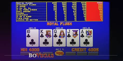 Royal Flush Party Video Poker Bodog