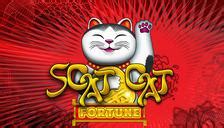 Scat Cat Fortune Brabet