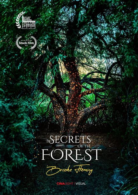 Secrets Of The Forest Bodog