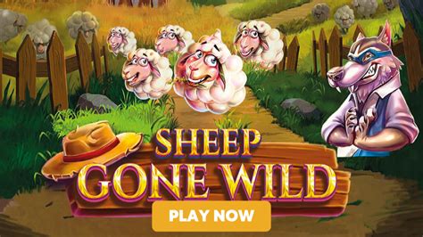 Sheep Gone Wild Brabet
