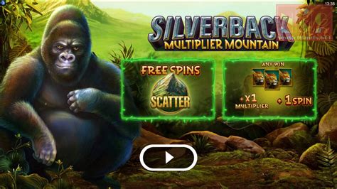 Silverback Multiplier Mountain Review 2024
