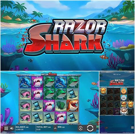 Slot Shark Fight