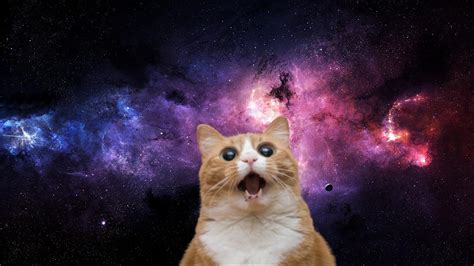 Space Cat Betano