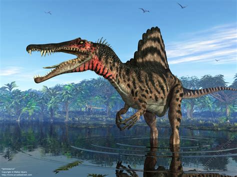 Spinosaurus Betway