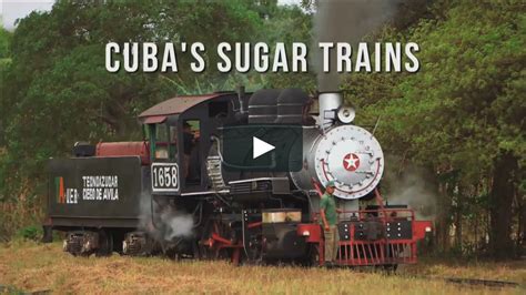 Sugar Train Bet365