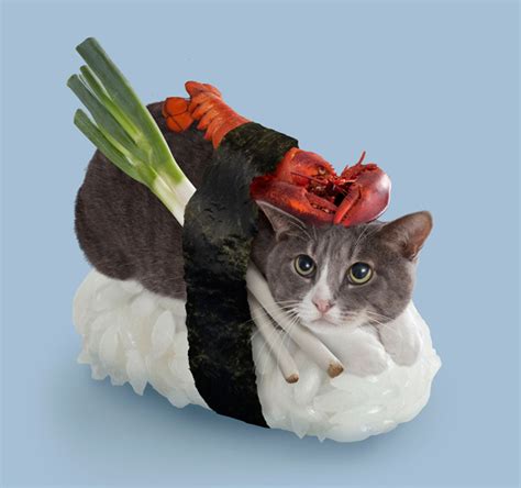 Sushi Cat Betsson