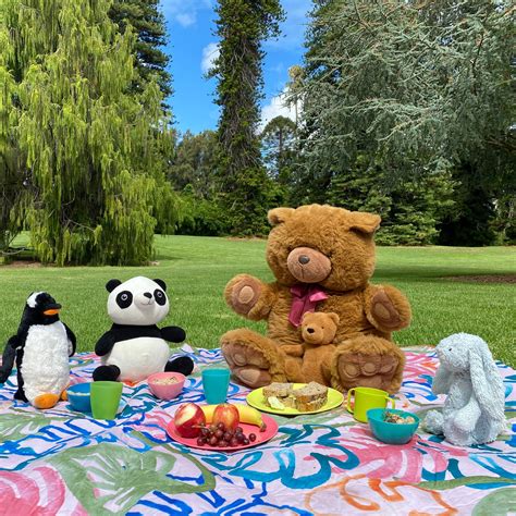 Teddy Bears Picnic Bwin