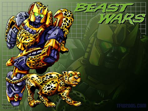 The Beast War Bodog