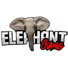 The Elephant Gang Parimatch