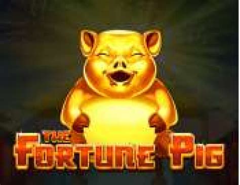 The Fortune Pig Review 2024
