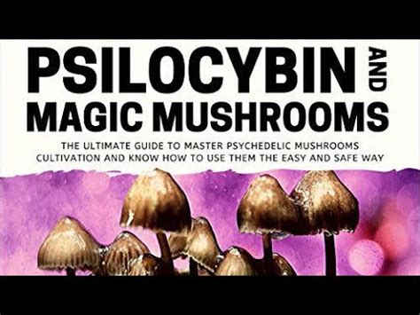 Trippy Mushrooms Review 2024