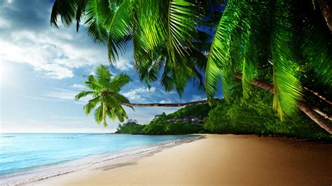 Tropic Paradise 1xbet