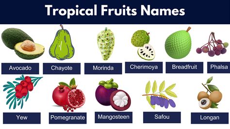 Tropical 7 Fruits Bodog
