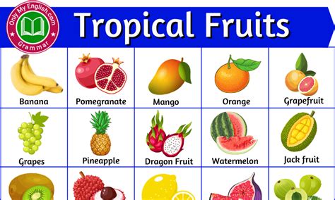 Tropical 7 Fruits Bodog