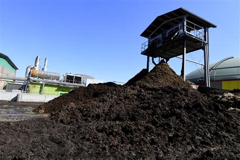 Vitoria Em Eletronica De Merda