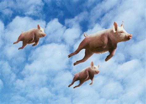 When Pigs Fly Sportingbet