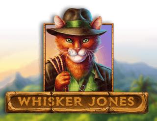 Whisker Jones Novibet