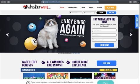 Whisker Wins Casino Bolivia