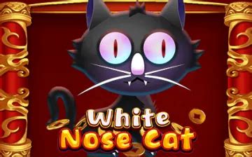 White Nose Cat 888 Casino