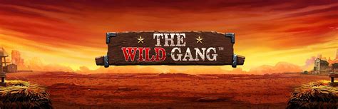 Wild Gang Review 2024