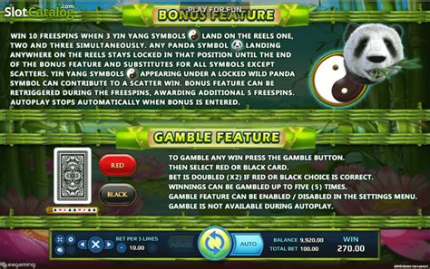 Wild Giant Panda Review 2024