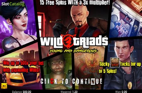 Wild Triads Review 2024