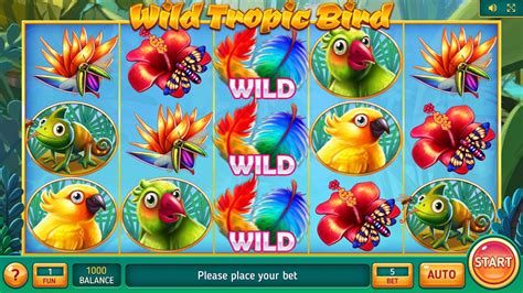 Wild Tropic Bird Slot - Play Online