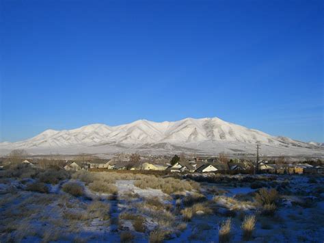 Winnemucca De Merda