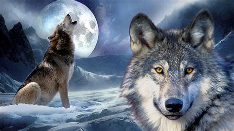 Wolf Moon Parimatch