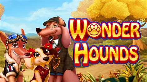 Wonderhounds 1xbet